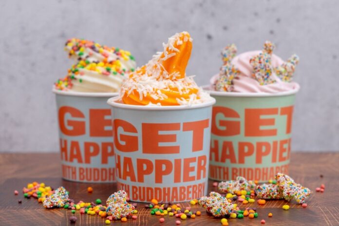 BuddhaBerry frozen yogurt with colorful sprinkles in a branded cup